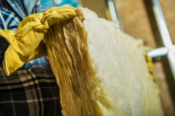 Best Insulation for Specific Applications in Appleton, MN