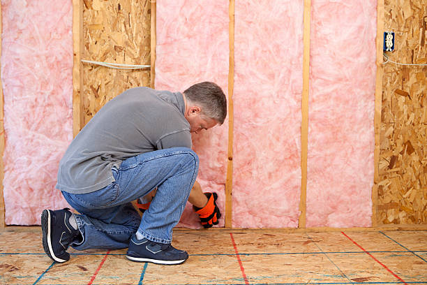 Best Insulation Maintenance and Repair in Appleton, MN
